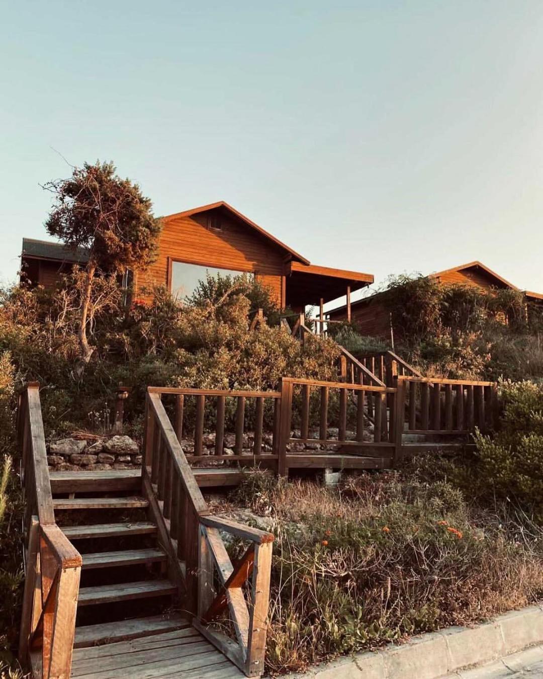 Zambak Holiday Village & Restaurant Superb Seafront Location ! Agios Georgios  Экстерьер фото